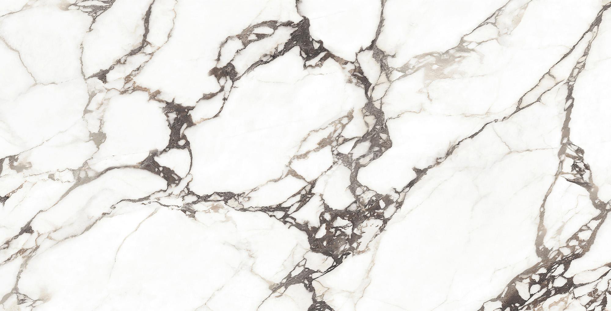 和记娱乐H88(й)鲩