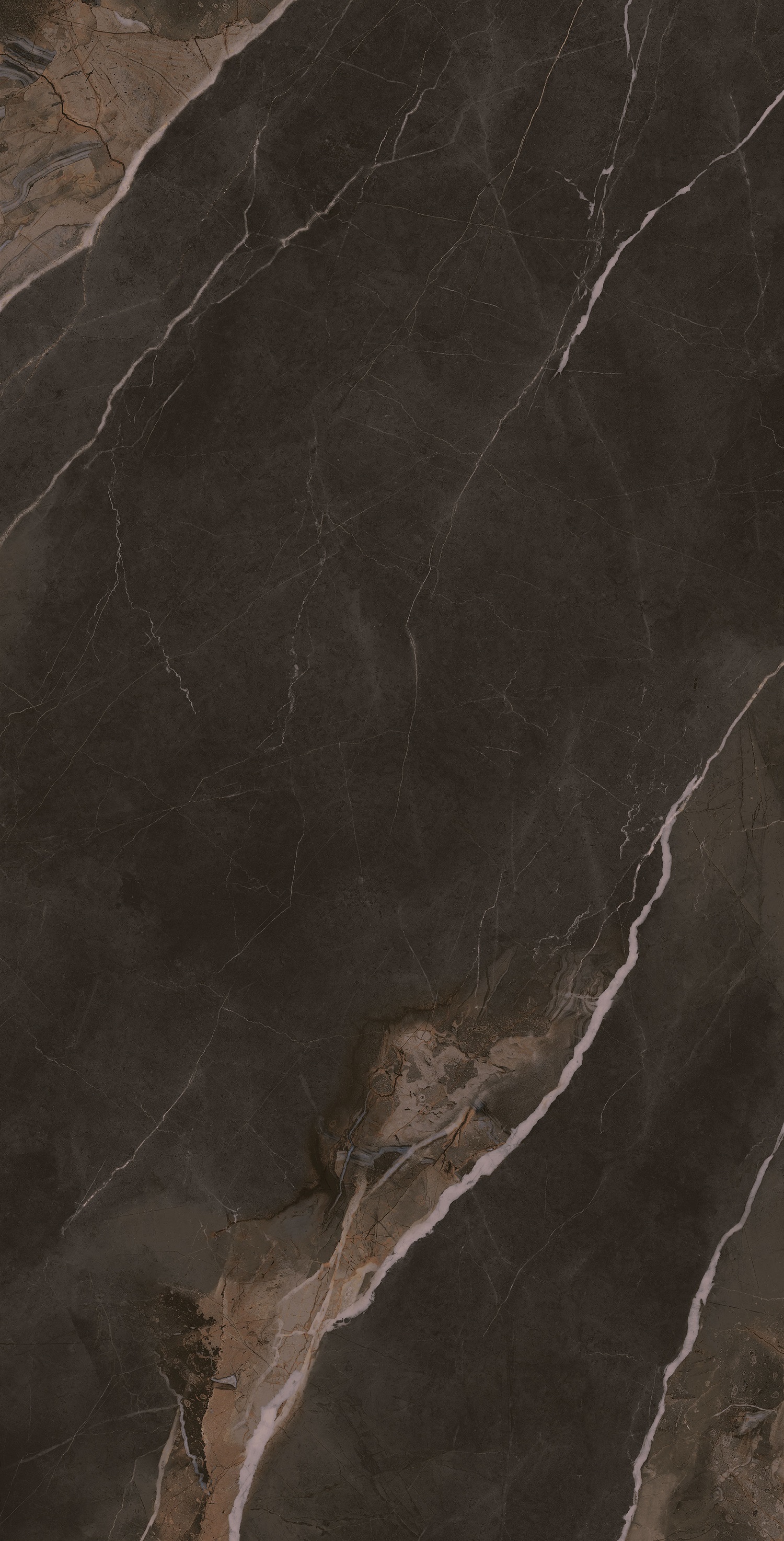 和记娱乐H88(й)鲩